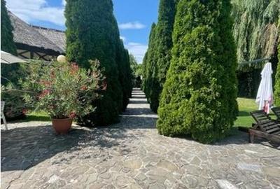 Ploiesti - Vanzare Restaurant, Piscina, Spatii de agrement - 19