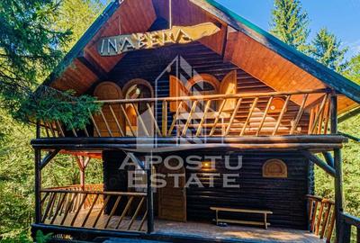 Casă cu 6 camere cu Teren 120 Mp în Râu de Mori - 12