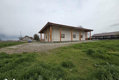 Casă cu Teren 1400 Mp în Valea Nucarilor - 3