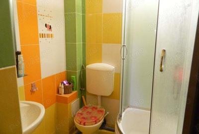 Apartament 4 camere decomandat Lunca Cetatuii - 4