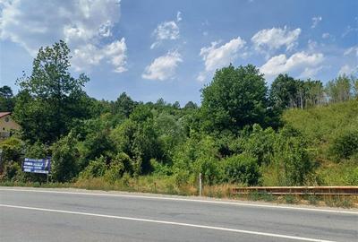 Teren Construcții intravilan de 2000 mp, în Calea Caransebeșului - 12