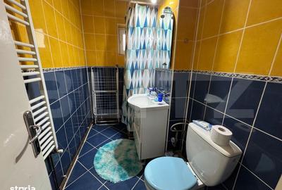 Apartament cu 3 camere decomandat în Brazda lui Novac - 10