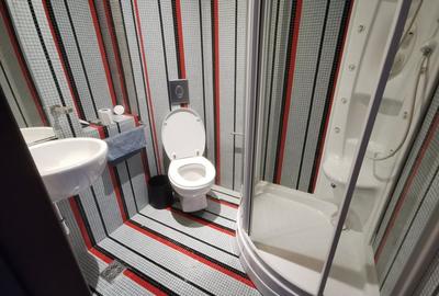 Apartament Aviatorilor - 5