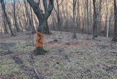 Teren de 1000 mp, în Merei - 6