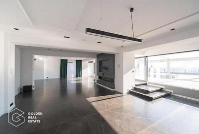 Penthouse spectaculos, zona Barbu Vacarescu, cu vedere la lacul Tei - 7