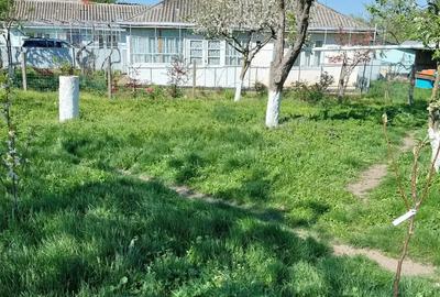 Casă cu 5 camere în Central - 1