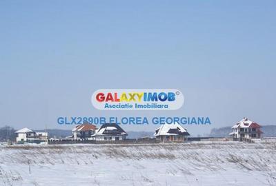 Casă cu 1 camere cu Teren 880 Mp în Bălteni - 3