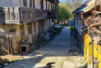 Casă cu 4 camere cu Teren 1869 Mp în Măgureni - 2