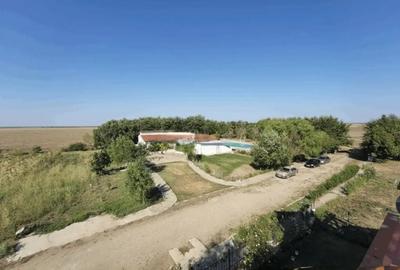 Teren în Frumușani - 4