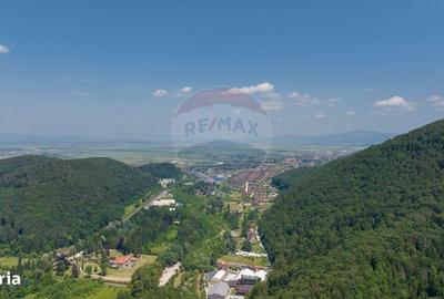 Spațiu comercial, în Timișu de Jos - 3