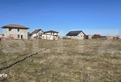 Spațiu comercial, în Torontalului