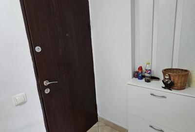 Apartament cu 2 camere semidecomandat, mobilat în Mihai Bravu - 13
