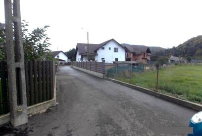 5200 sau 2600 mp teren vanzare,direct proprietar, parcelabil, apropiere Arinis - 4