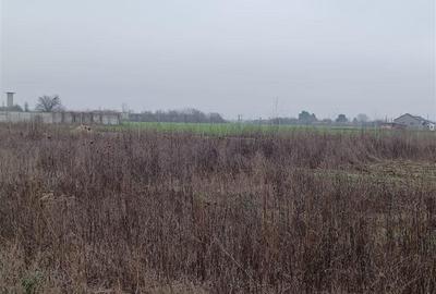 Teren Construcții intravilan de 1860 mp, în Corbeanca - 9