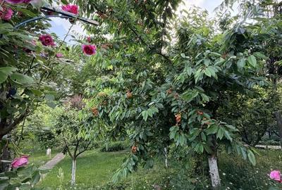 Casă cu 3 camere în Domnești - 10