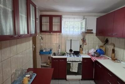 Casă individuală cu 1 camere cu Canalizare în Careiului - 10