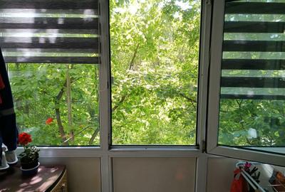Apartament cu 2 camere semidecomandat în Alexandru cel Bun - 2