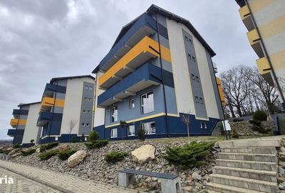 Apartament cu 2 camere în Bucium - 2