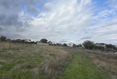 Teren de 1500 mp, în Ovidiu - 7