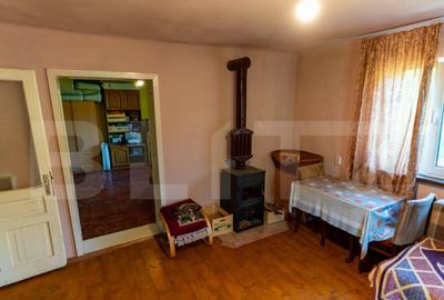 Casa de vanzare in Rovina(Branisca) - 23