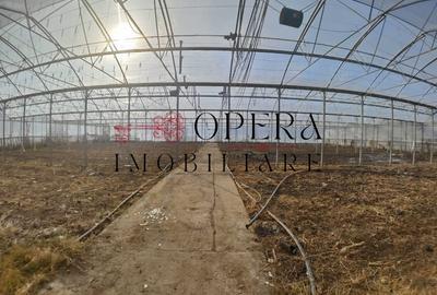 Teren Construcții intravilan de 5000 mp, în Aroneanu - 7