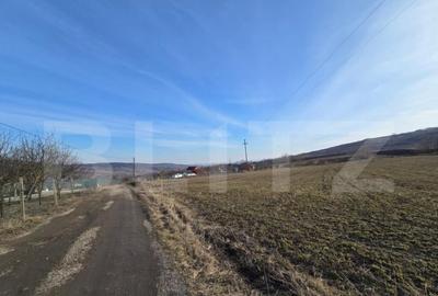 Teren extravilan de vanzare, 1.113 mp, zona-Valea Chintaului - 3