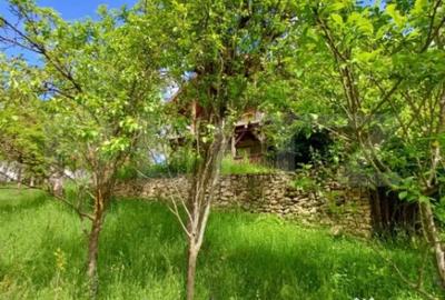 Casă cu 4 camere cu Teren 4873 Mp în Moldovenești - 12