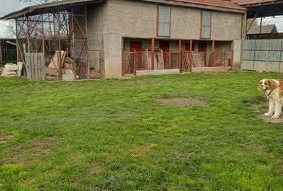 Casă cu 5 camere în Central