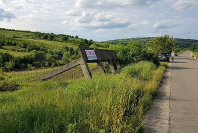 Spațiu comercial, în Chicerea