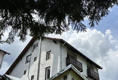 Casă cu Teren 3500 Mp în Central - 2