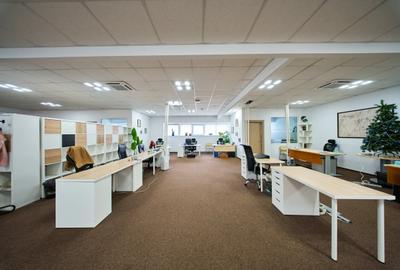 Birouri cu depozit de închiriat - 13