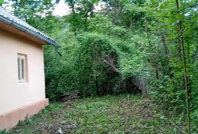 Casă cu 3 camere cu Teren 400 Mp în Central - 1