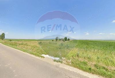 Teren de 9750 mp, în Hălchiu - 2