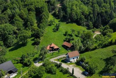 FILM! Casa traditionala pe domeniu de 4.300mp teren, Bran - Simon, Brasov - 10