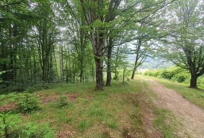 Spațiu comercial, în Central - 3