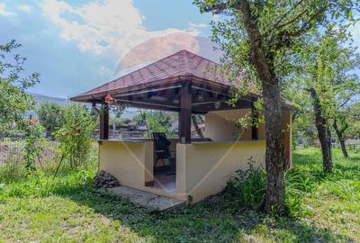 Casa CU POVESTE rezidential/ vacanta in Teliu cu 1700 mp teren! - 22