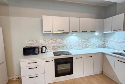 Strada Domneasca 2 camere mobilate 500 Euro - 7
