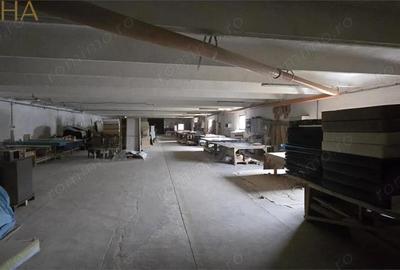 Spațiu comercial, de 2,761 mp, în Livezile - 15