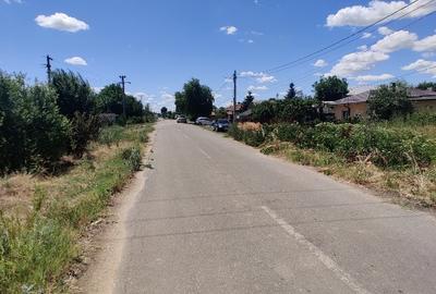 Teren, Pădurea Scrovistea - 2