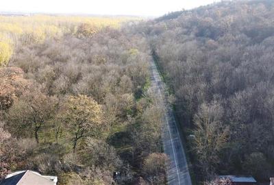 Teren de vanzare in Leamna de Jos - 5