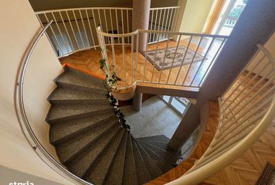 Casă cu 9 camere decomandat cu Teren 3000 Mp în Vladimirescu - 8