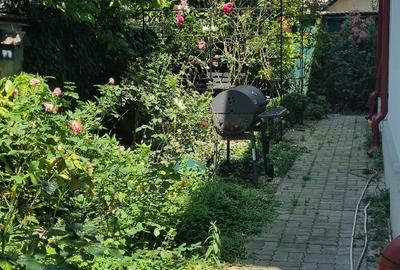 Iancului , Vatra Luminoasa - 22