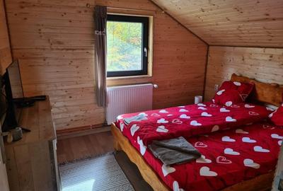 Casa de vacanta, 5 camere, 130 mp, teren 1000 mp, zona Valea Ierii - 14