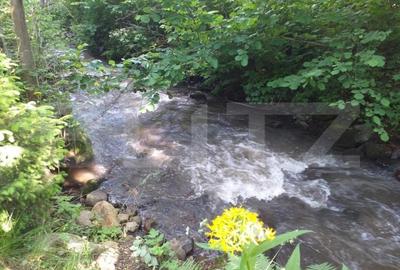 Cabana  cu teren 1364mp, zona Bucin Cabana  cu teren 1364mp, zona Bucin - 11