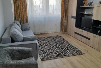 Apartament cu 2 camere semidecomandat în Hălmagiu - 4