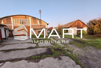 Teren intravilan 16000 mp + hale Calea Surii Mici - 3