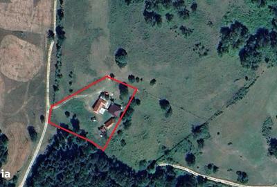 Casă cu 4 camere în Zece Hotare - 4