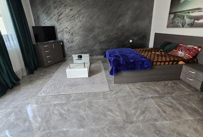 Garsonieră decomandată în Exterior Vest - 6