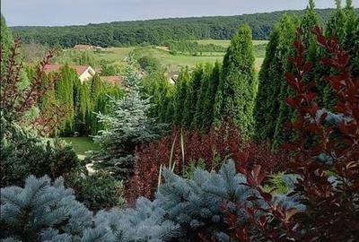 Casă cu 4 camere cu Teren 800 Mp în Livezeni - 5