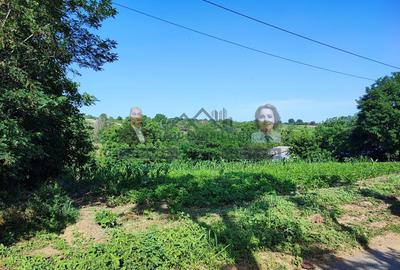 Teren pentru casa/Fantani/Nicoresti - 2